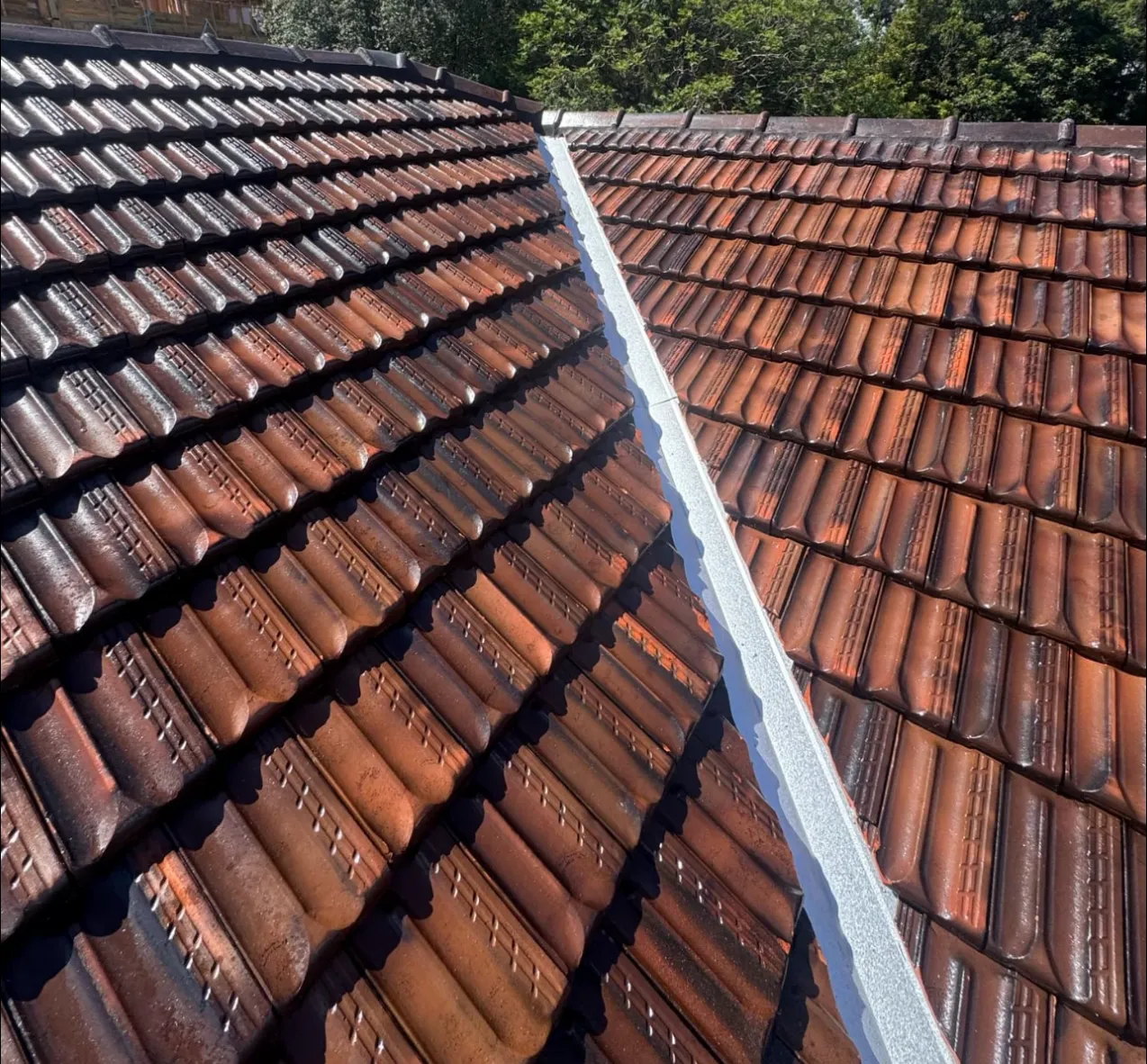 Roof cleaning and maintenance work